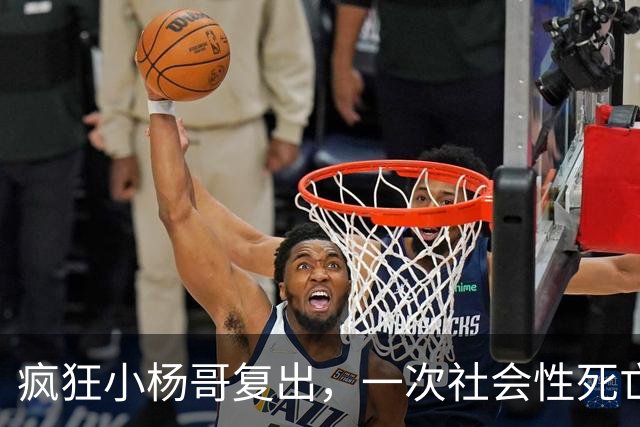 疯狂小杨哥复出，一次社会性死亡！